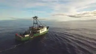Hawaii Longline Fishing For Tuna: Hawaiian Fresh Seafood