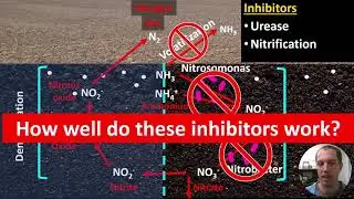 The Effectiveness of Using Urease and Nitrification Inhibitors to Improve Corn Yield