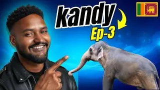 Royal Elephant Stable | Shimla of Sri Lanka | Kandy | IN to SL #EP-3