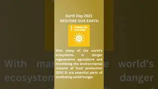 5 Earth Day Themes that Support the SDGs