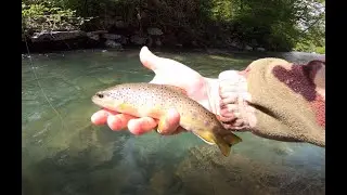 P&ecirc;che toc nymphe de d&eacute;but de saison