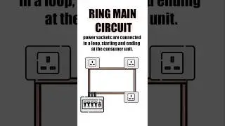 Radial VS Ring Electrics⚡🔌💡#Electrician #Electrics #Power #Useful #Circuit #Construction