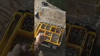 Органайзер Dewalt Tstak #шорты