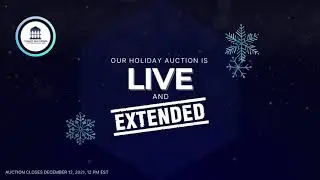 MORE AMAZING DEALS! MORE TIME! THE GIANT AUCTIONS HOLIDAY AUCTION IS EXTENDED!