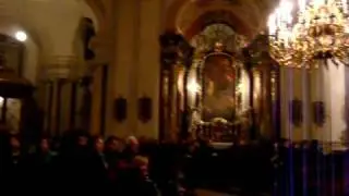 異国の風。Piaristenkirche Maria Treu