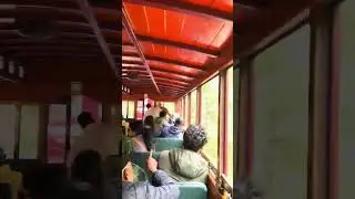Train window footage Walhalla to Thomson Station  26 12 25 #regionalvictoria #thingstodo