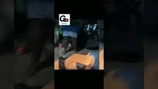 Don't Drink and Dance