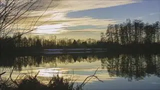 Die Stimme - RealSoul feat. FIO