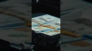 Stock Market Enthusiasts
