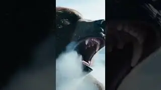 Himalayan Brown Bear vs Wild Yak Epic Snow Battle
