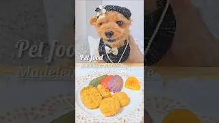 [ Pet Baking 🫓 Madeleine ]Madeleine and cookies for dogs made of sweet potatoes and dried pollack