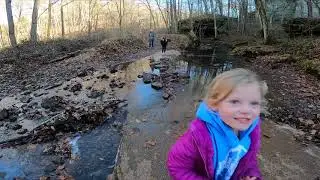 Ferne Clyffe And Bork&rsquo;s Falls Hike