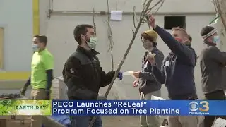PECO Launches 'ReLeaf' Program With Focus On Tree Planting