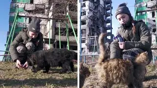 After Her Cat Became Feral When Russia Invaded, A Ukrainian Girl Began Feeding Stray Cats In Rubble
