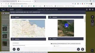 Sentinel - 2 Uydu G&ouml;r&uuml;nt&uuml;s&uuml; İndirme Copernicus Open Access Hub