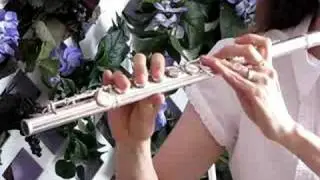 Gemeinhardt 2SP