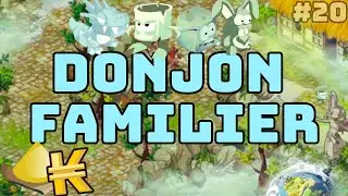 ASTUCE POUR FAIRE DES MILLIONS DE KAMAS AU LVL 1 SUR DOFUS RETRO FARM DONJON FAMILIER TROP RENTABLE