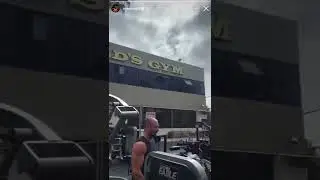 BIG GIBBER