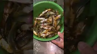 #smallfishcurry
