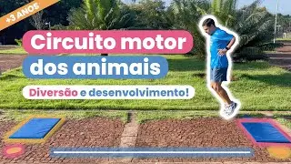 Circuito dos Animais | Movimentos Lúdicos para Crianças a partir de 3 anos