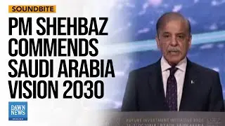 Pakistan Outlines Key Focus: AI, Education, Health at Riyadh Investment Summit | Dawn News English