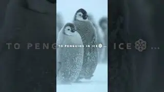 Nature&rsquo;s Survival Secrets That Could Save Us All!😲 #nature #survival #shorts