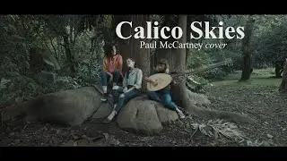 Calico Skies - Paul McCartney cover