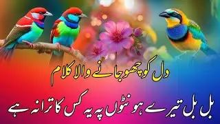 New naat||2025.. bulbul tere hothon per kiska Tarana hai.. 