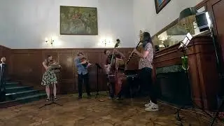 Desert Quill Quartet - Gradual Transformation, Live at Zunzun Mexico City