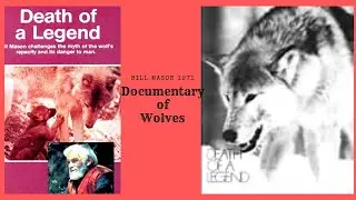 Documentary Film by Bill Mason (1971) - Death of a Legend || Top Documentary
