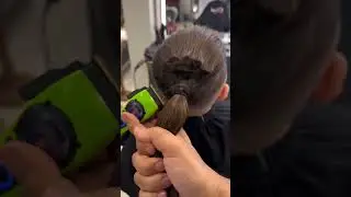 #music #song #balon #salon #style #hair #hairst #video 💇💈💫✂️💥