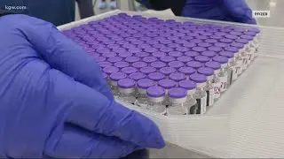 First doses of COVID-19 vaccine could reach Oregon in two weeks