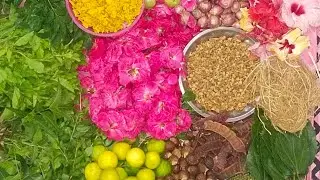 🙏🏻Ayutha Poojai special | New business |Introduction video | Flashback life style| Hair Wash Powder✨
