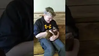 Zootastic Park Animal Encounters