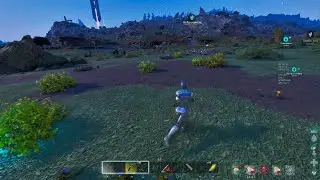 Veilwyn pvp