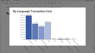 Translation Budget Report