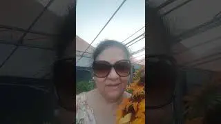 plz like share subscribe my joty vlogs Orangeville