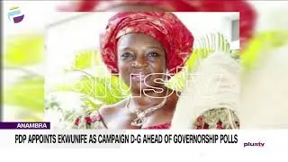 PDP Appoints Ekwunife As Campaign D-G Ahead Of Governorship Polls | NEWS