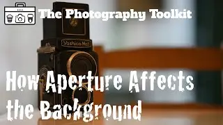 How Aperture Affects Background - The Photography Toolkit