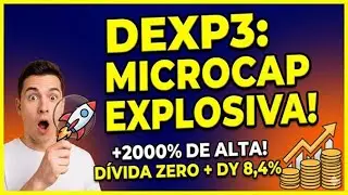 Dexxos (DEXP3): D&iacute;vida ZERO e P/L 5,4x [A Microcap 