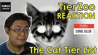The Cat Tier List | TierZoo | ImBumi Reaction
