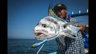 Rooster fishing compilation season 18-19. Surffishing // inshore fishing