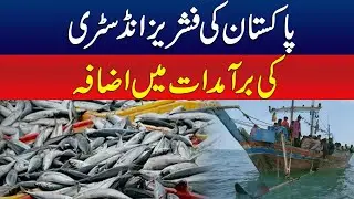 Pakistan&rsquo;s Fisheries Industry  Exports Increase