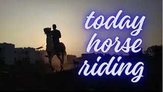 Today Horse Riding | Beautiful Sunset Horse Riding Vlog