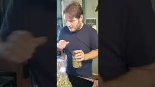 Wholesale THCA for adults 21+: how operators scale from 1 lb to real volume (2026)