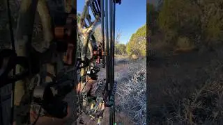 When Preparation Meets Opportunity  #elk #elkhunting #bonejunkie