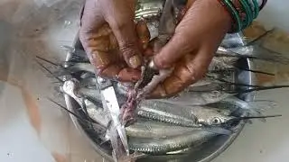 Kola Fish Cleaning Method in Tamil | Kola Meen Cleaning in Tamil | Easy Cleaning Kola Fish in Tamil