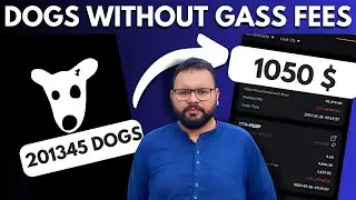 DOGS withdraw now without gas fee | How to withdraw DOGS token |