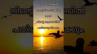 ചില വേദനകൾ തെളിവ് ചോദിക്കില്ല. #confidence #innercalm #innerstrength #soulful teacher