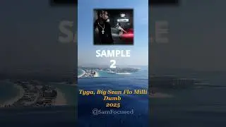 Tyga Dumb Sample🤦🏽&zwj;♂️ ft Big Sean Flo Milli #tyga #bigsean #flomilli #rundmc   #80s #samfocused